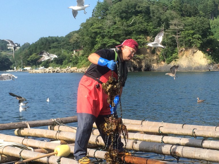 【漁師希望者向け / 初心者歓迎】この春、漁師のがっこうが開校します。