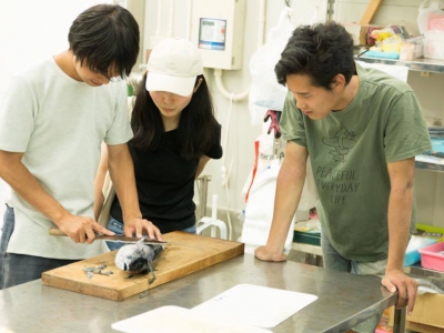 学生向けお試し移住：被災地の時を旅する4日間。