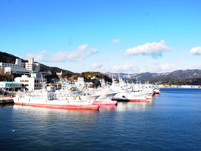 地域を元気にするための「未利用水産資源プロジェクト」を一緒に支えるメンバー募集!