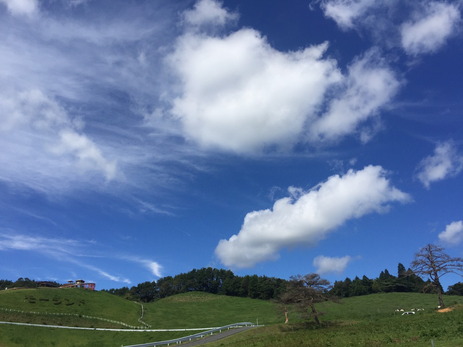 きょうのけせんぬま。「女子高生が伝える気仙沼の魅力 Part 2」