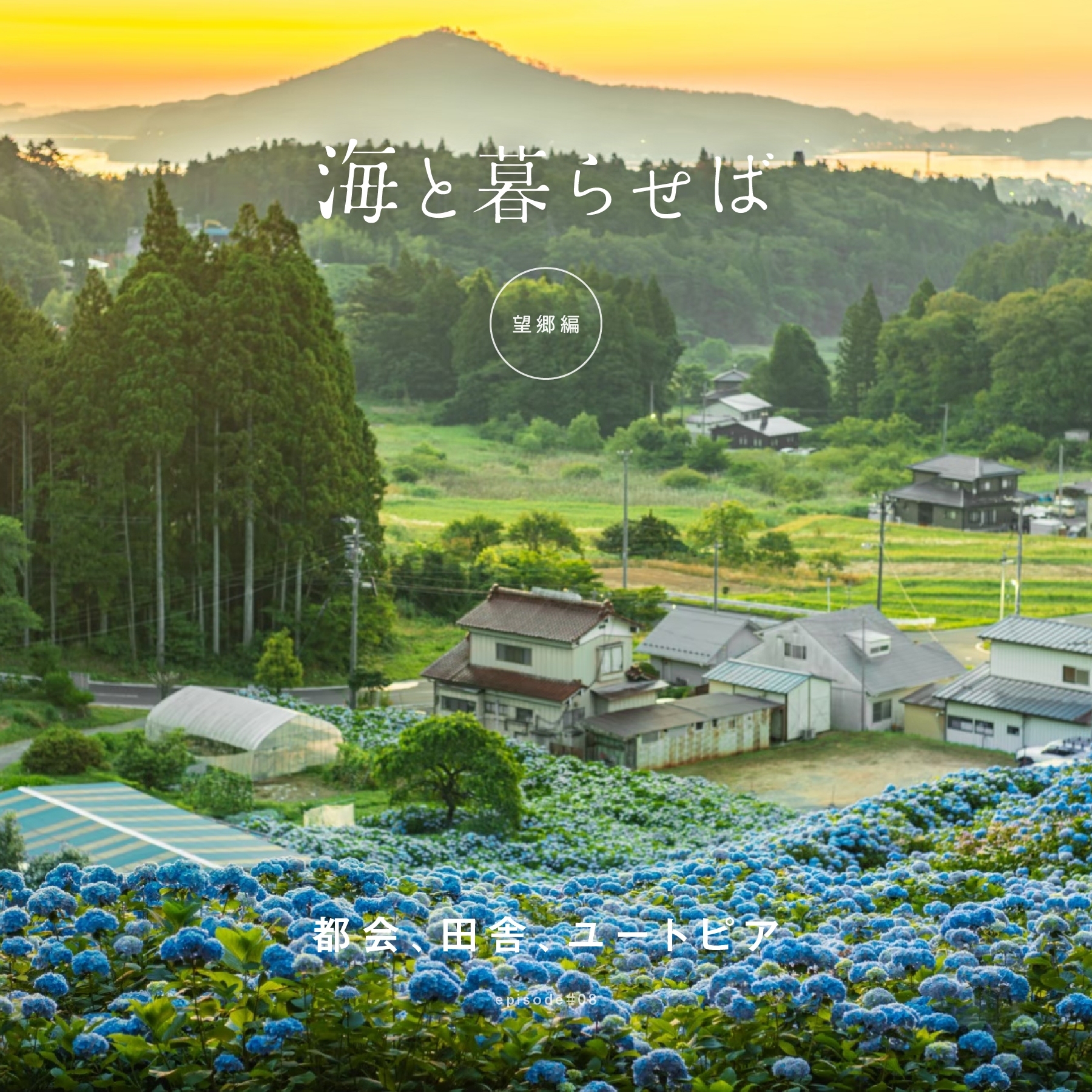 コラム#望郷編8 都会、田舎、ユートピア